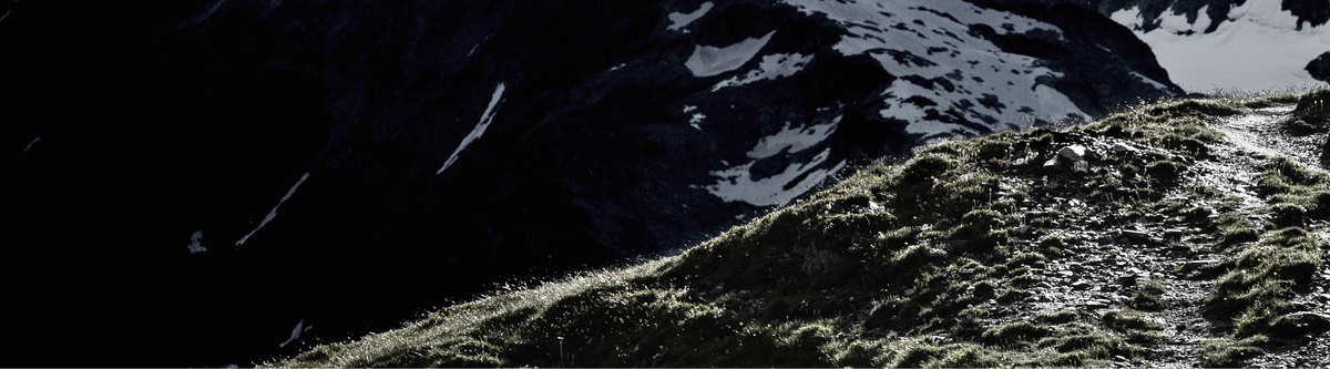 Trail Running